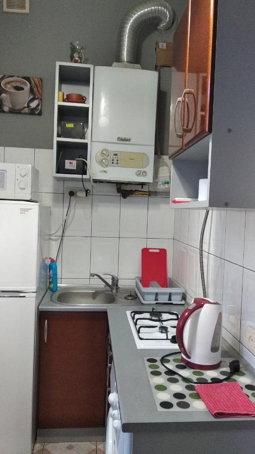 Apartment Anna Lviv Dış mekan fotoğraf